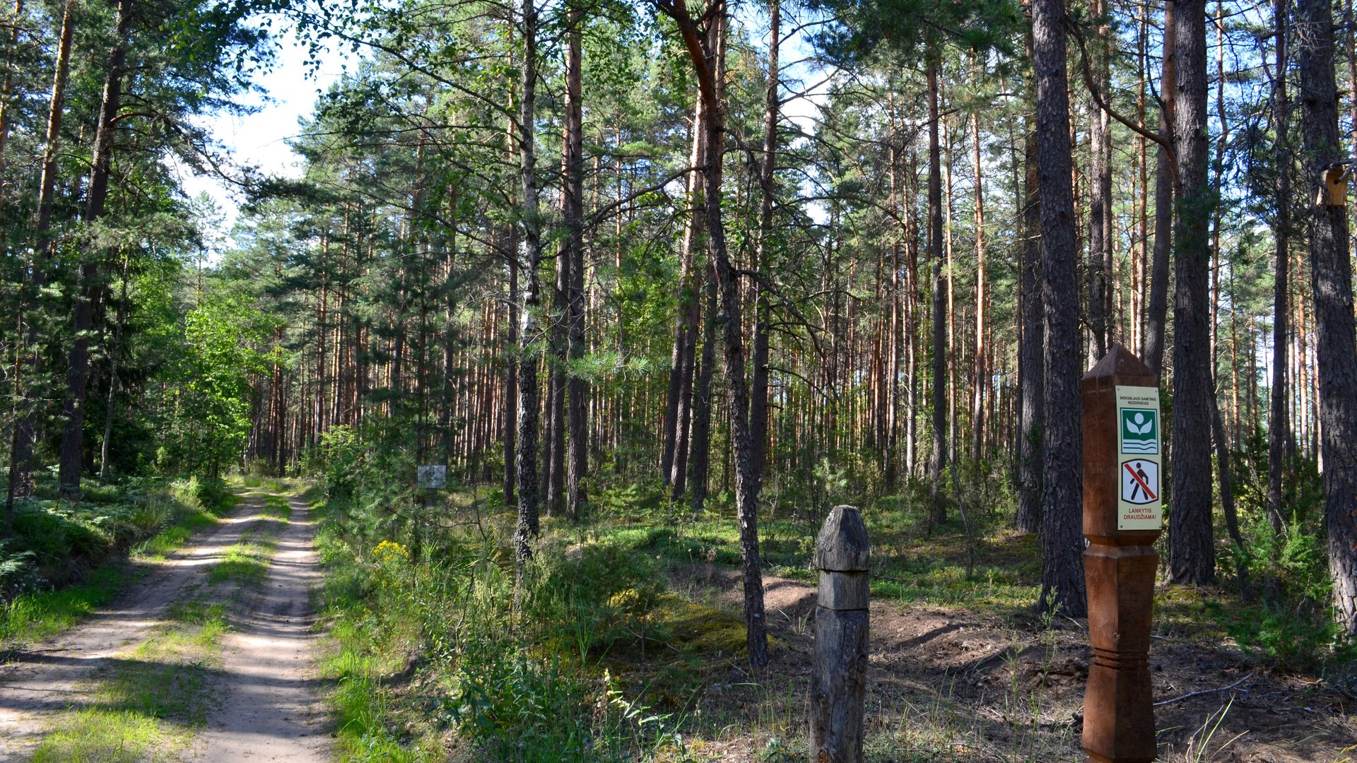 Varėna